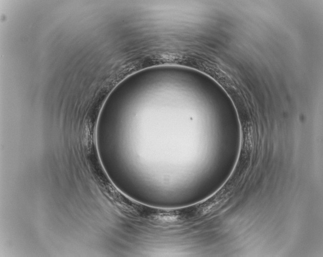 X0000087380651200705041946