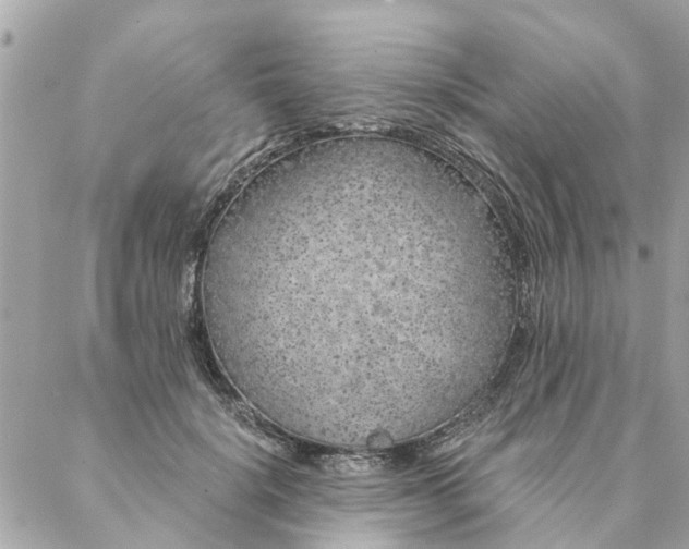 X0000087380652200705041946