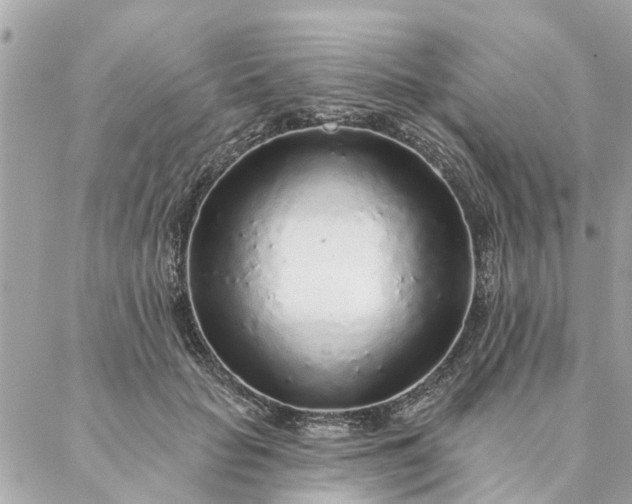 X0000087380653200705041946