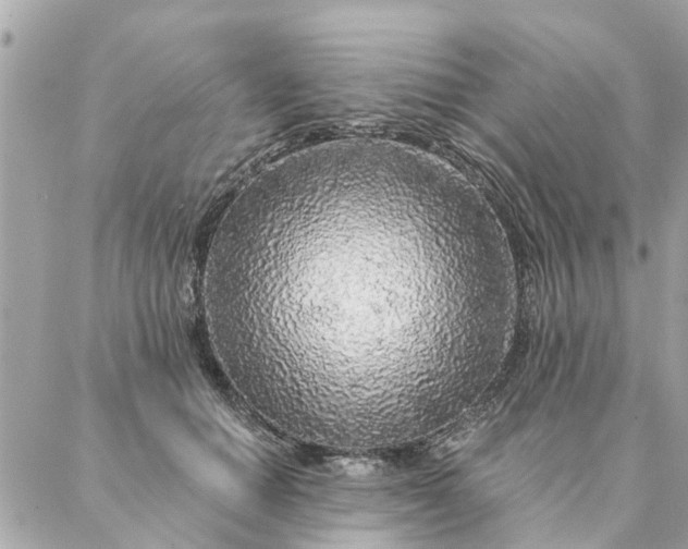 X0000087380654200705041946