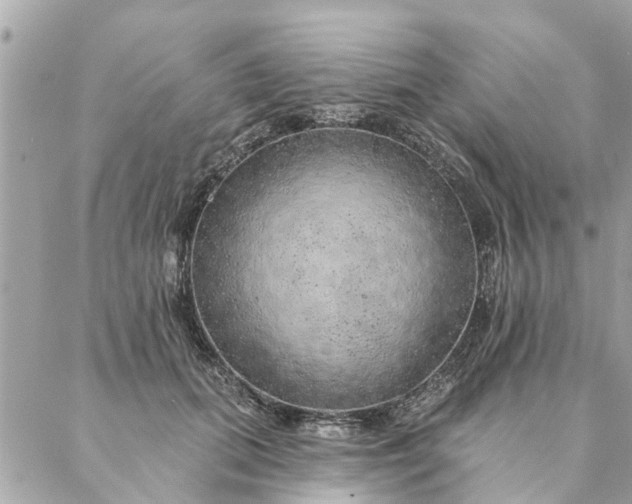 X0000087380655200705041946