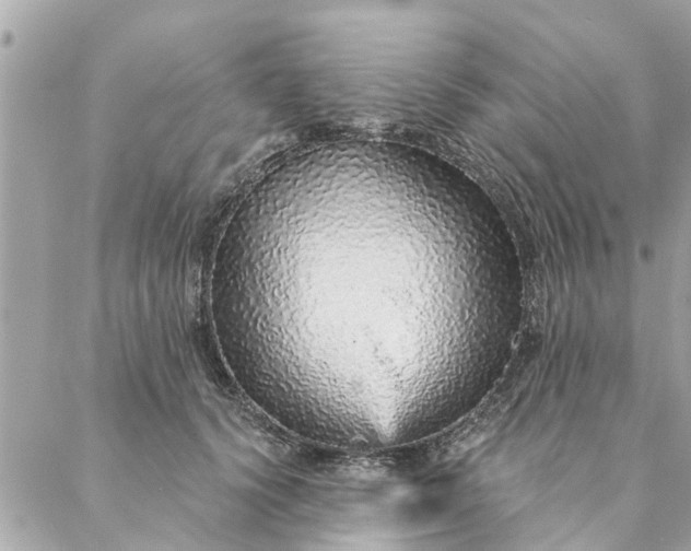 X0000087380656200705041946