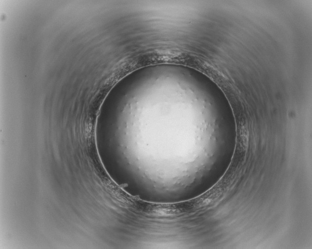 X0000087380657200705041946