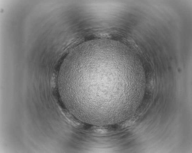 X0000087380658200705041946