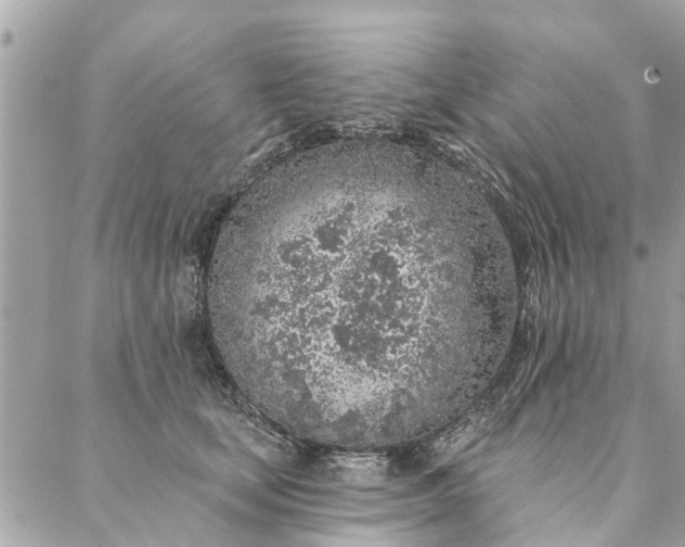 X0000087380659200705041946