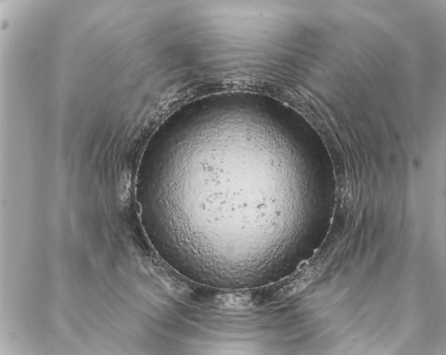 X0000087380660200705041946