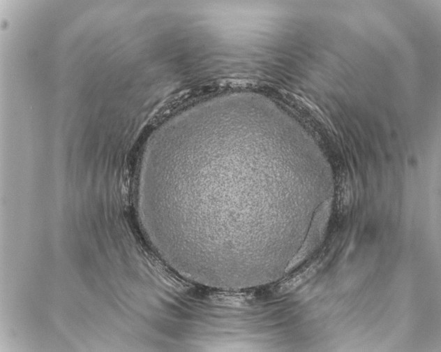 X0000087380661200705041946