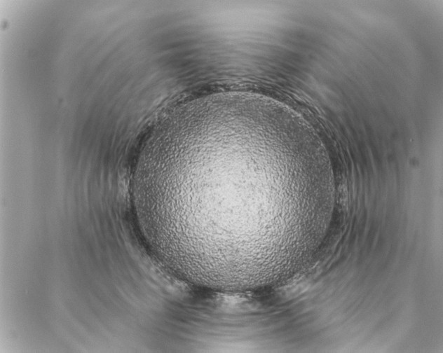 X0000087380662200705041946