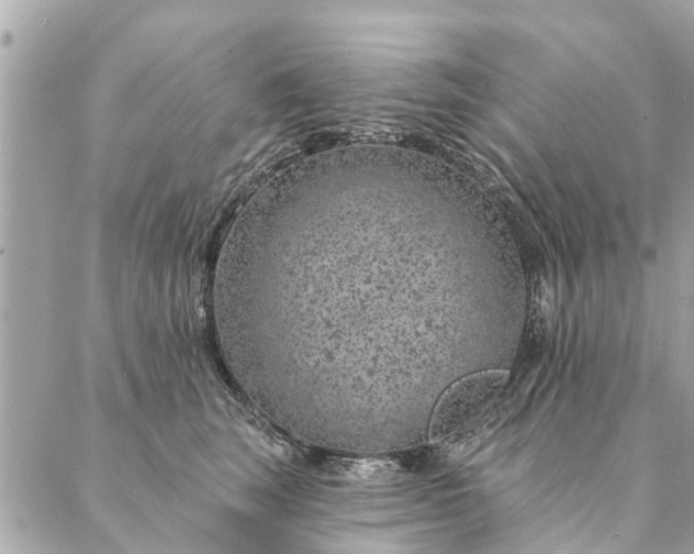 X0000087380663200705041947