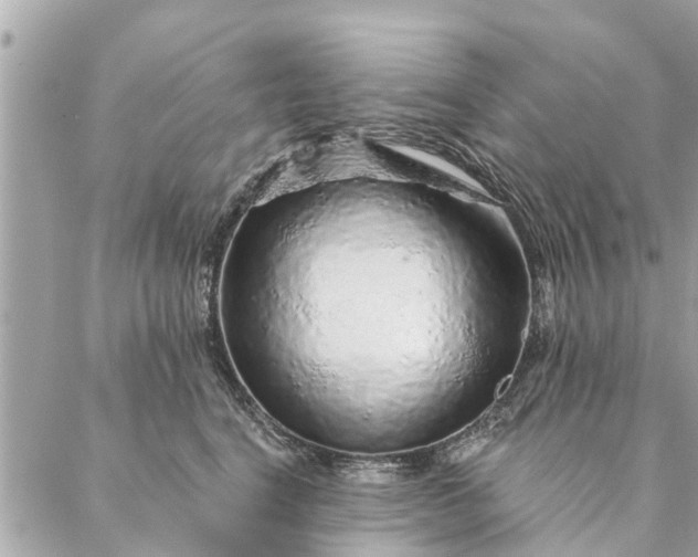 X0000087380664200705041947