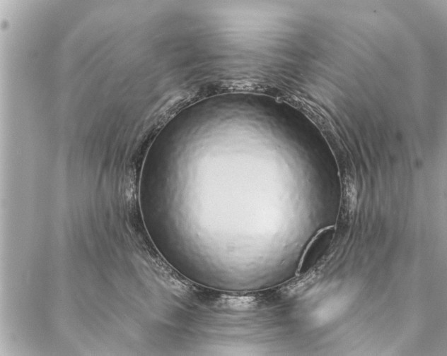 X0000087380665200705041947