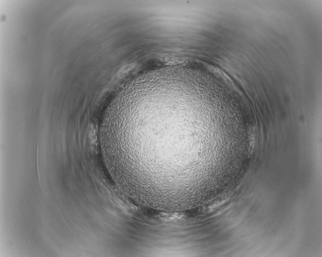 X0000087380667200705041947