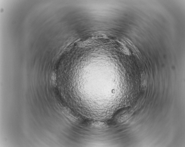 X0000087380669200705041947