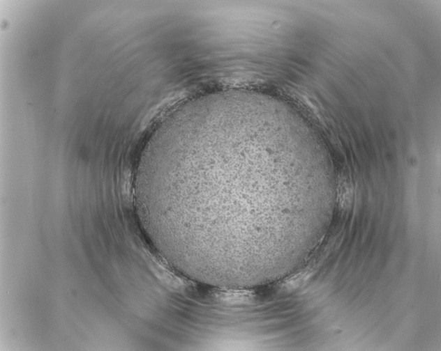 X0000087380670200705041947