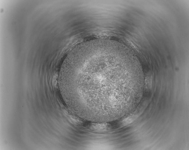 X0000087380671200705041947