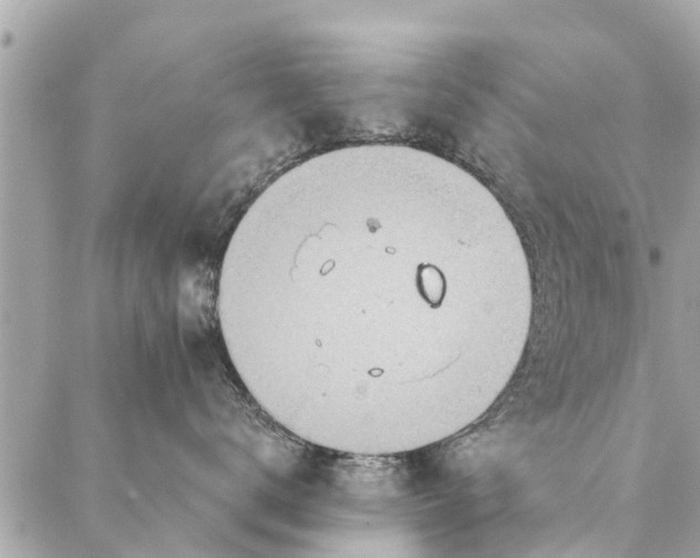 X0000087380672200705041947