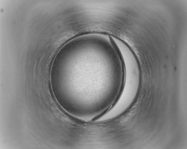 X0000087380673200705041946