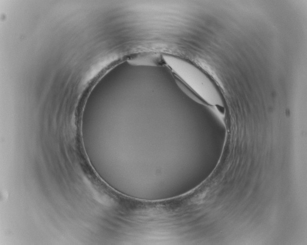 X0000087380674200705041946