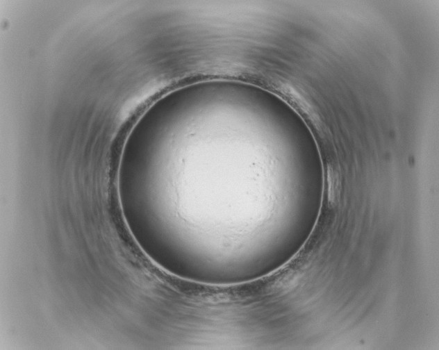 X0000087380675200705041946