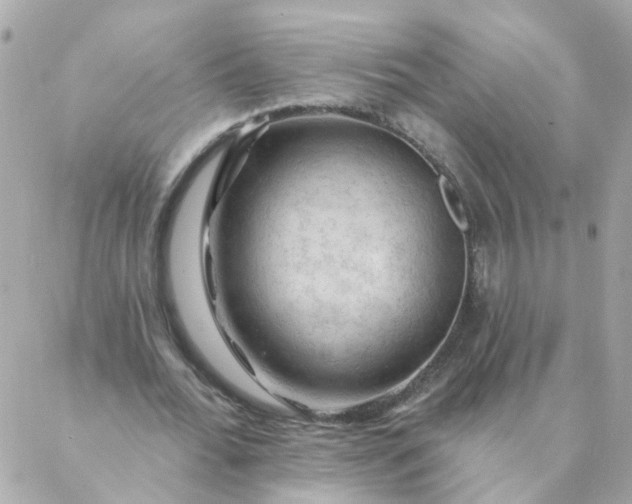 X0000087380676200705041946