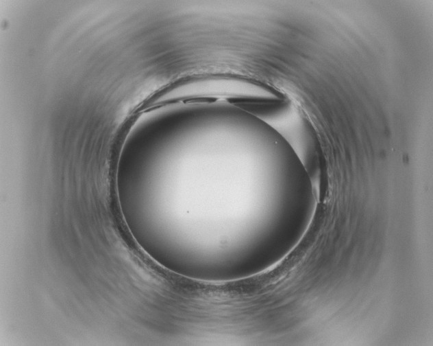 X0000087380677200705041946