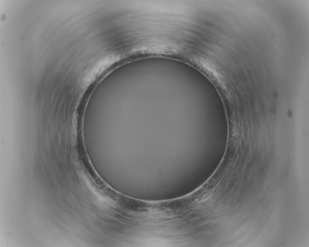 X0000087380678200705041946