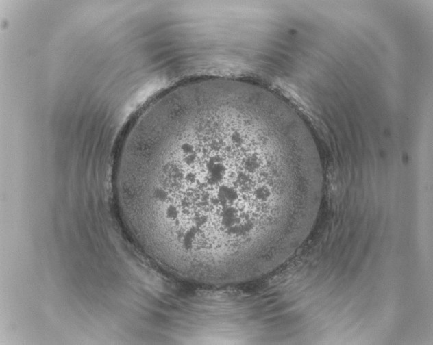 X0000087380679200705041946