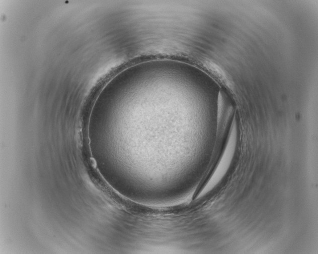 X0000087380680200705041946