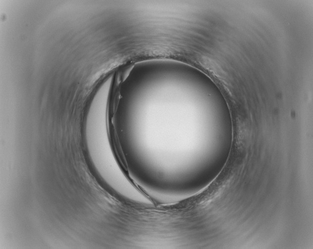 X0000087380681200705041946