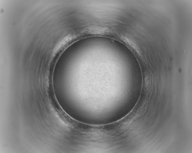 X0000087380682200705041946