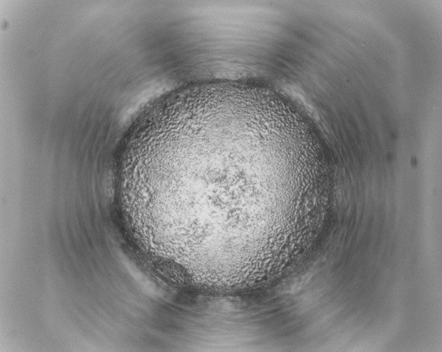 X0000087380683200705041946