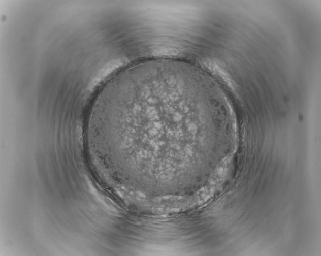 X0000087380684200705041946