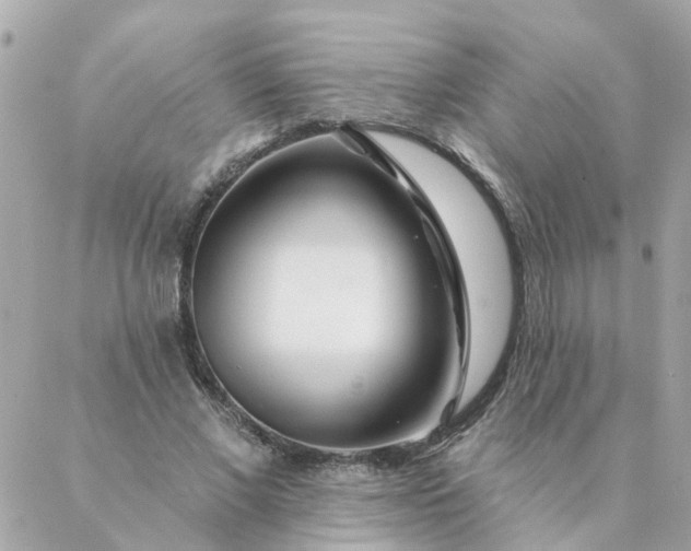 X0000087380685200705041946