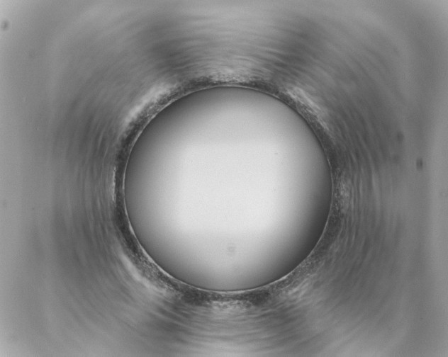 X0000087380686200705041946