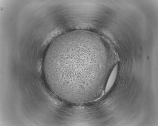 X0000087380687200705041946