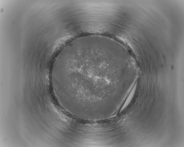 X0000087380688200705041946