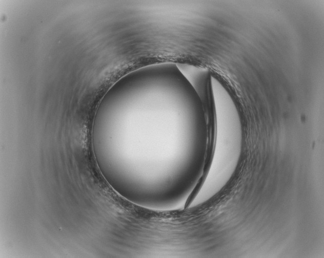 X0000087380689200705041946