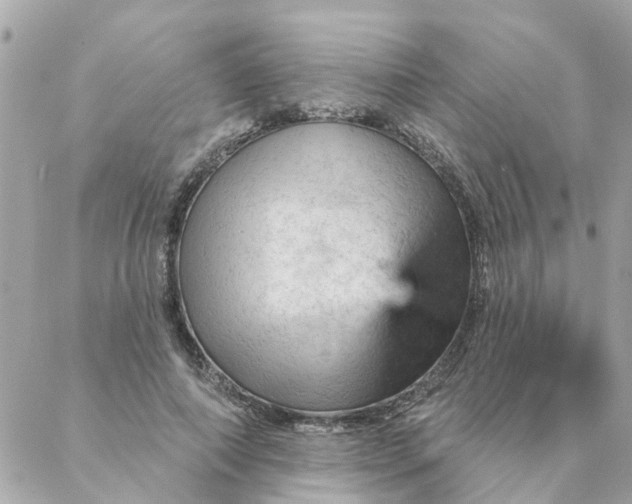 X0000087380690200705041946