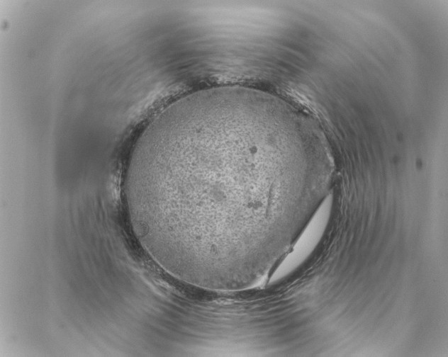 X0000087380691200705041946