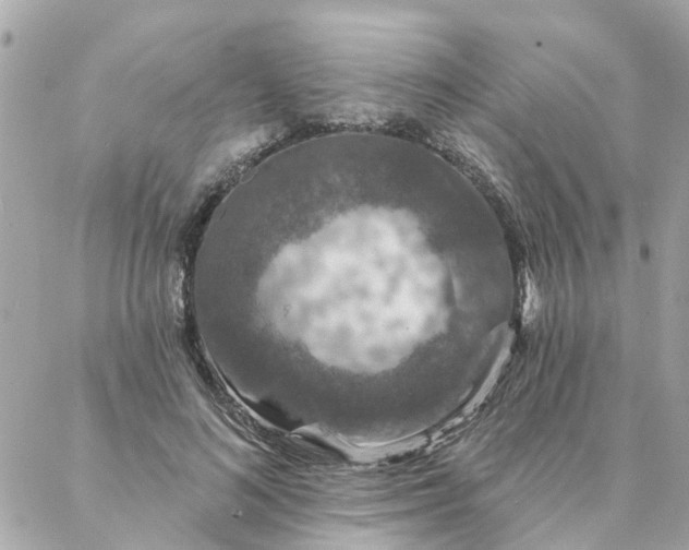 X0000087380692200705041946