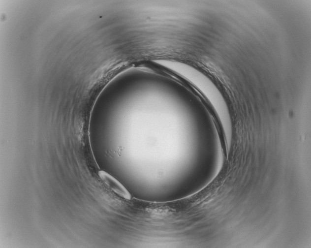 X0000087380693200705041946