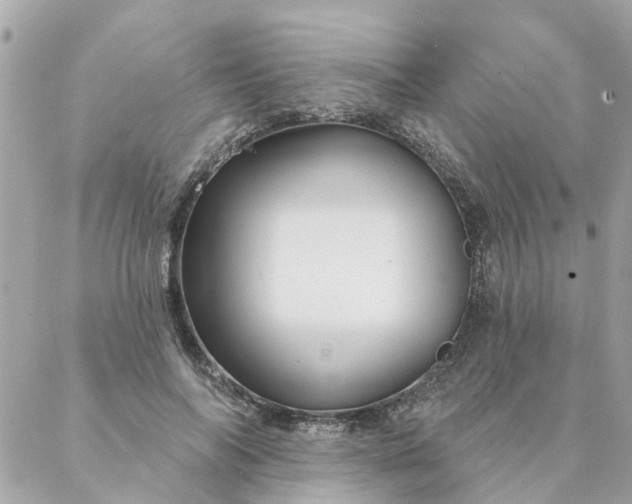 X0000087380694200705041946