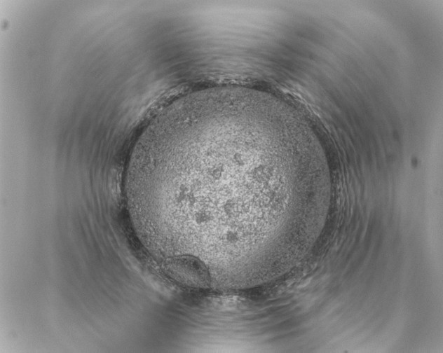 X0000087380695200705041946