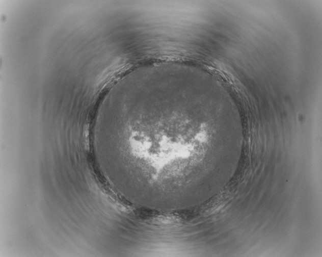 X0000087380696200705041945