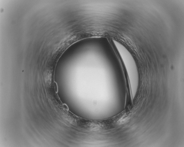 X0000087380697200705041945