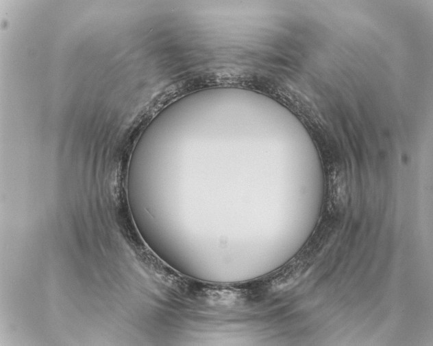 X0000087380698200705041945