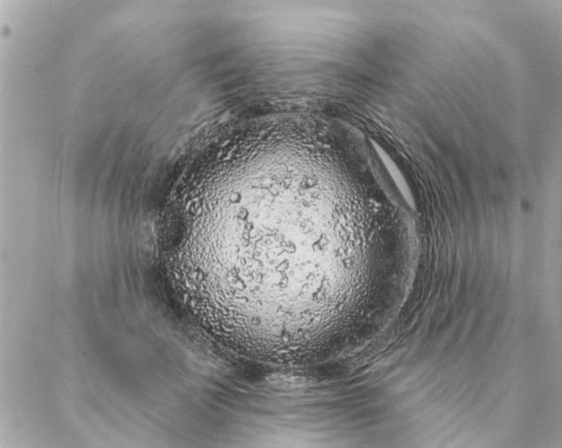 X0000087380699200705041945