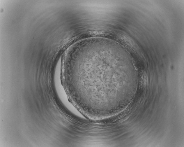 X0000087380700200705041945