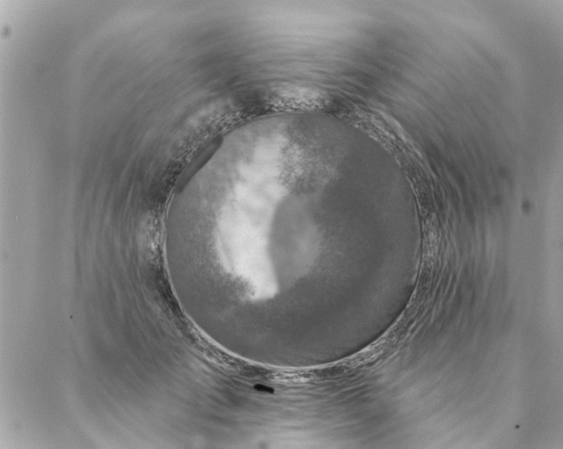 X0000087380701200705041945