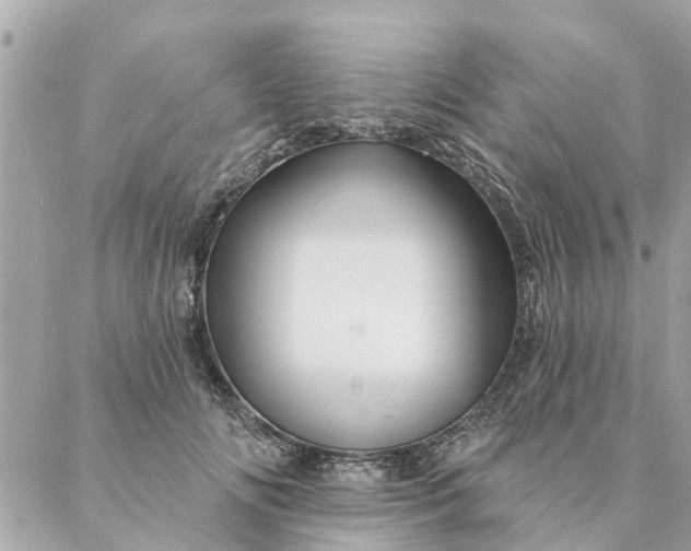 X0000087380702200705041945